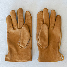 画像をギャラリービューアに読み込む, アウトドアグローブ