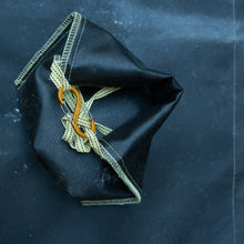 画像をギャラリービューアに読み込む, Ash Carry