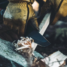 画像をギャラリービューアに読み込む, デルタターロン