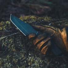 画像をギャラリービューアに読み込む, デルタターロン