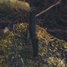 画像をギャラリービューアに読み込む, デルタターロン