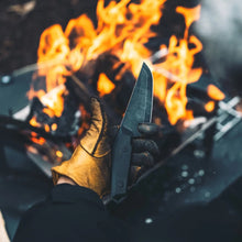 画像をギャラリービューアに読み込む, デルタターロン