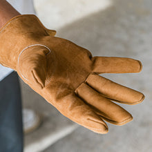 画像をギャラリービューアに読み込む, アウトドアグローブ