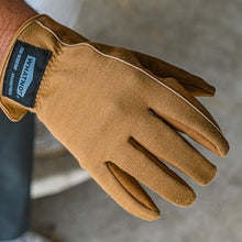 画像をギャラリービューアに読み込む, アウトドアグローブ