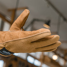 画像をギャラリービューアに読み込む, アウトドアグローブ