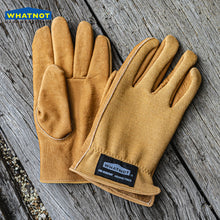 画像をギャラリービューアに読み込む, アウトドアグローブ