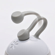 画像をギャラリービューアに読み込む, たねほおずき