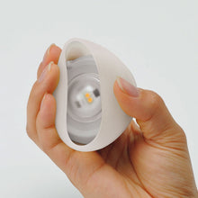 画像をギャラリービューアに読み込む, たねほおずき