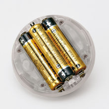 画像をギャラリービューアに読み込む, たねほおずき