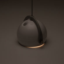 画像をギャラリービューアに読み込む, スポットほおずき