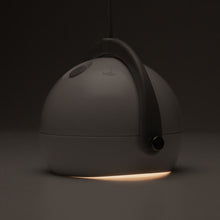 画像をギャラリービューアに読み込む, スポットほおずき