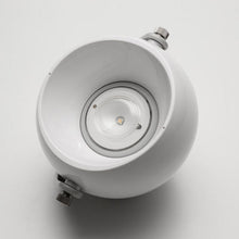 画像をギャラリービューアに読み込む, スポットほおずき