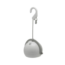 画像をギャラリービューアに読み込む, スポットほおずき