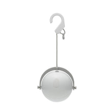 画像をギャラリービューアに読み込む, スポットほおずき