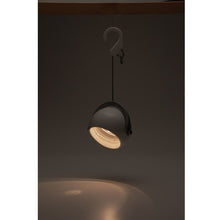 画像をギャラリービューアに読み込む, スポットほおずき