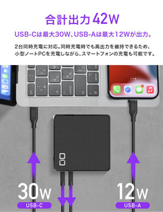 SMARTCOBY Pro PLUG 30W