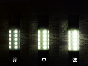 MINIMALight 2.0